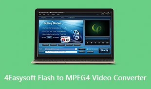 4Easysoft Flash to MPEG4 Video Converter