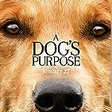 A Dog's Purpose