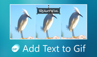 Add Text to GIF