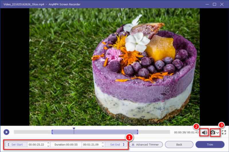 AnyMP4 Screen Recorder