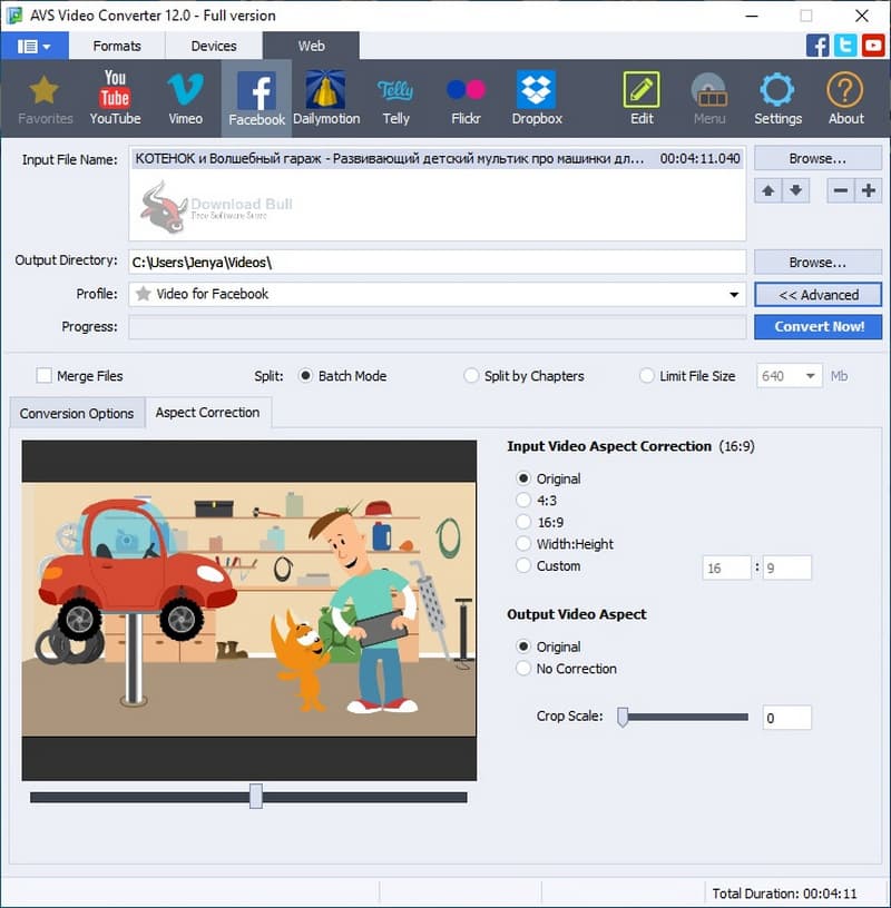 AVS Video Converter