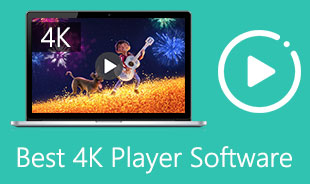 Best 4K Player Software
