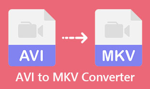Best AVI To MKV Converter