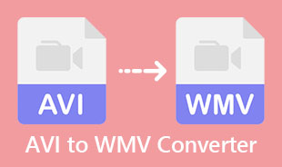 Best AVI To WMV Converter