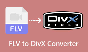 Best FLV To DivX Converter