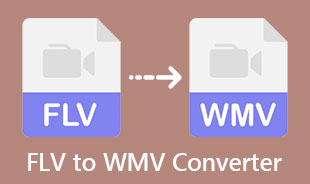 Best FLV To WMV Converter