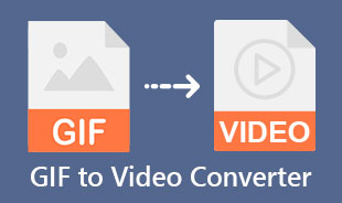 Best GIF To Video Converter