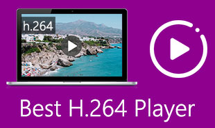 Best H246 Player