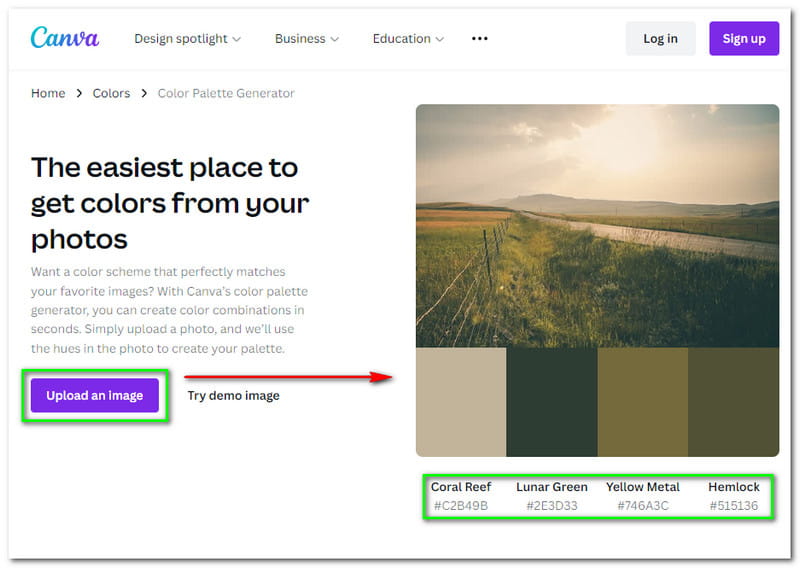 Best Image Color Picker Canva