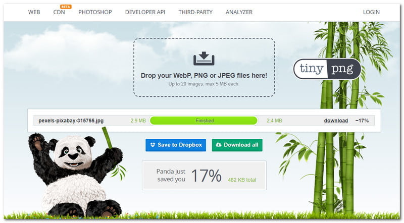 Best Image Compressor TinyPNG