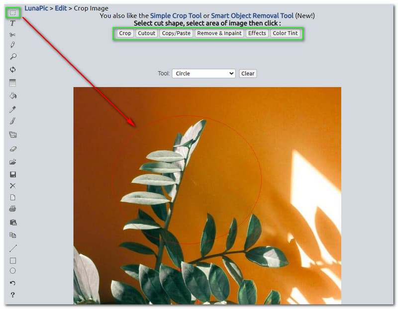 Best Image Cropper Lunapic