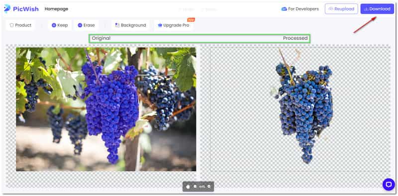 Best Image Upscaler PicWish