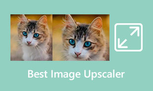 Best Image Upscaler