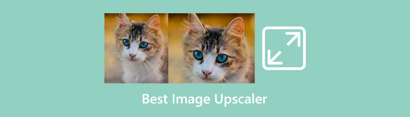 Best Image Upscaler