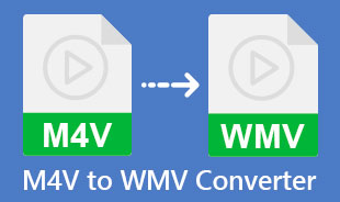 Best M4V To WMV Converter