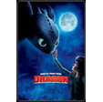 How to Train Your Dragon