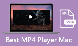 Best MP4 Player Mac