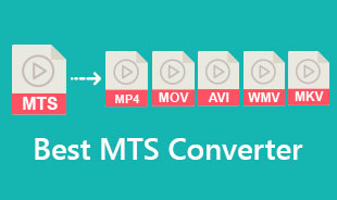 Best MTS Converter