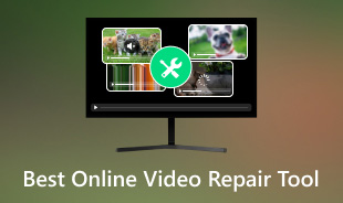 Best Online Video Repair Tool S