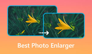 Best Photo Enlarger