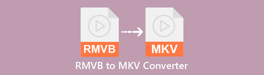 Best RMVB To MKV Converter
