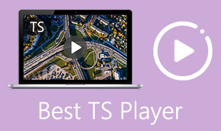 Best TS Player