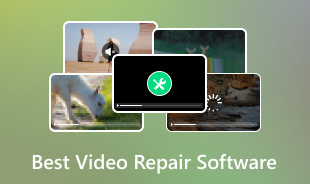 Best Video Repair Software S