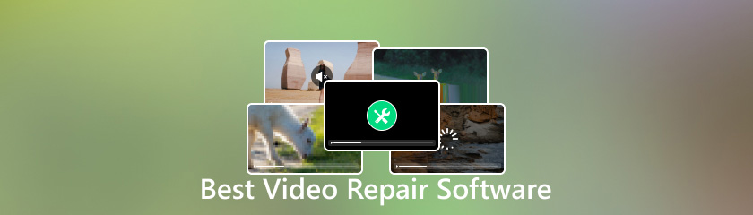 Best Video Repair Software