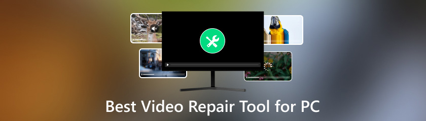 Best Video Repair Tool For PC