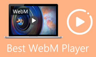 Best WebM Player
