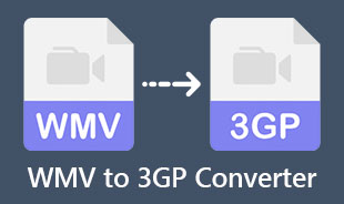 Best WMV To 3GP Converter