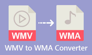 Best WMV To WMA Converter
