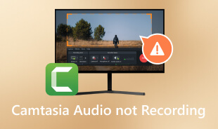 Camtasia Audio Not Recording