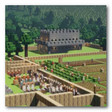 Colony Survival