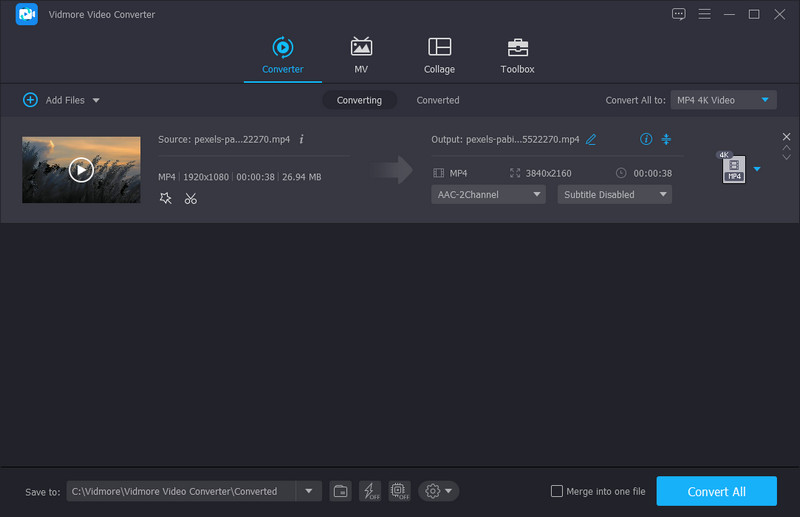 Convert Vidmore Vid