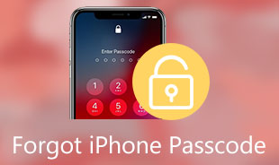 Forgot iPhone Passcode