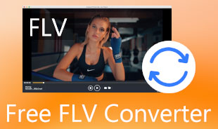 Free FLV Converter