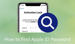 How to Find Apple ID Password