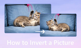 How to Invert a Picture