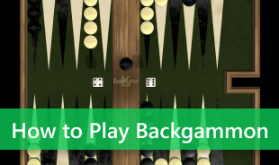 How to Play Backgammon
