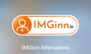 IMGinn Alternatives