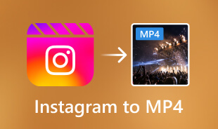 Instagram to MP4