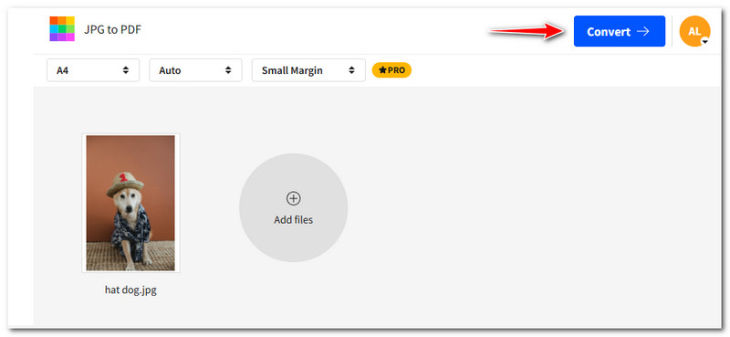 IrfanView for Mac Alternatives Small PDF