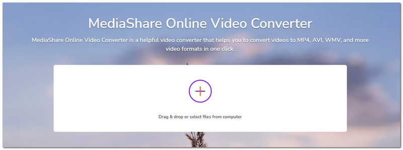 Mediashare Ree Online MP4 Converter