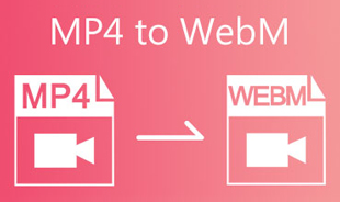 MP4 To WebM