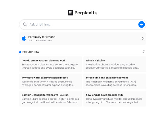 Perplexity