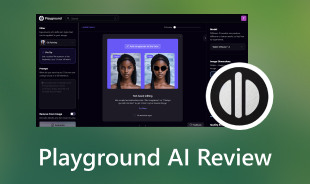 Playground AI Review