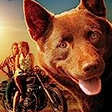 Red Dog