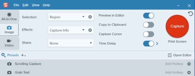 Snagit Interface
