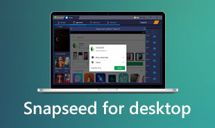 Snapseed for Desktop s
